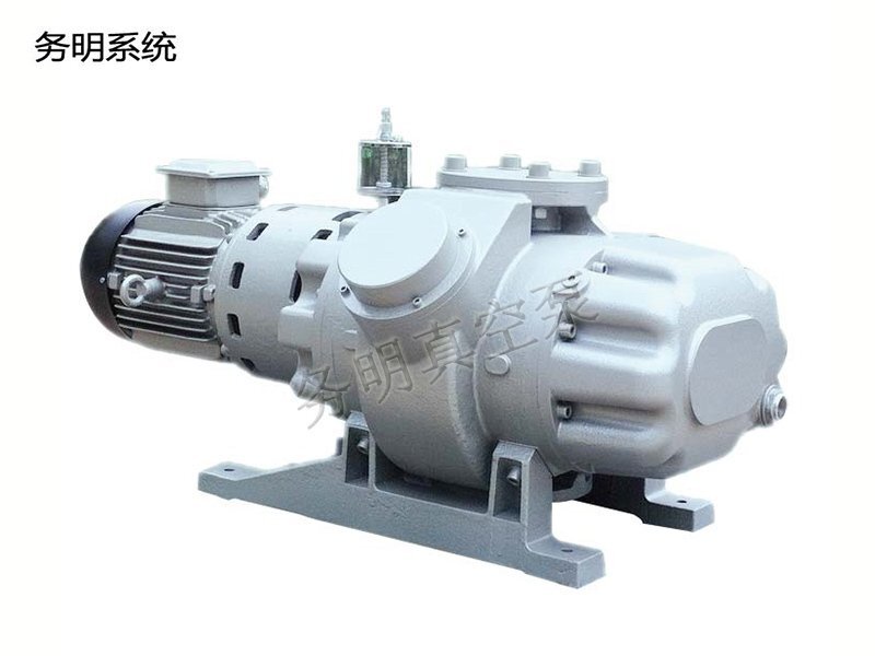羅茨真空泵,真空泵工作原理